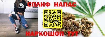 винт Аргун