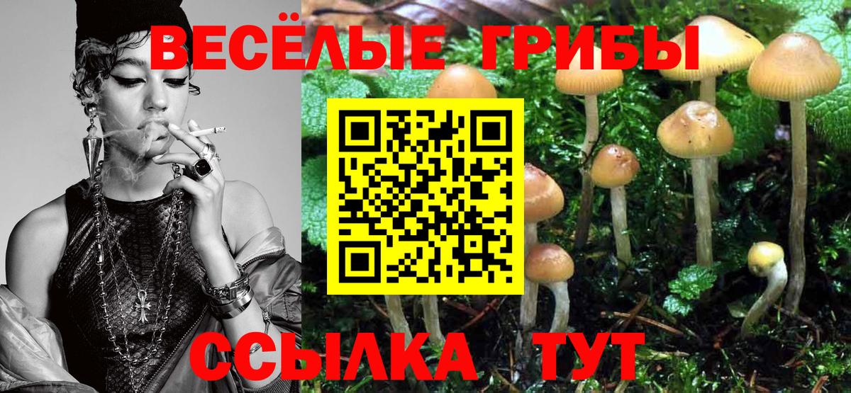 Галлюциногенные грибы GOLDEN TEACHER Ачхой-Мартан