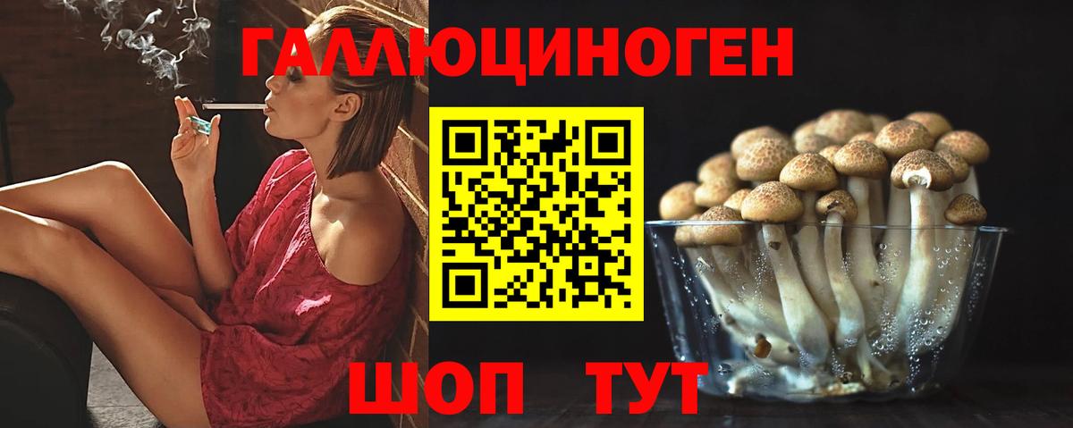 Галлюциногенные грибы Cubensis  Псилоцибиновые грибы Psilocybine cubensis  Ачхой-Мартан  Вход с VPN 